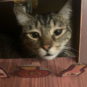 Meet your Posher, Athena